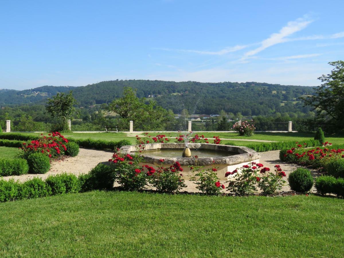 Chateau De Gaubert Bed and Breakfast Terrasson Esterno foto
