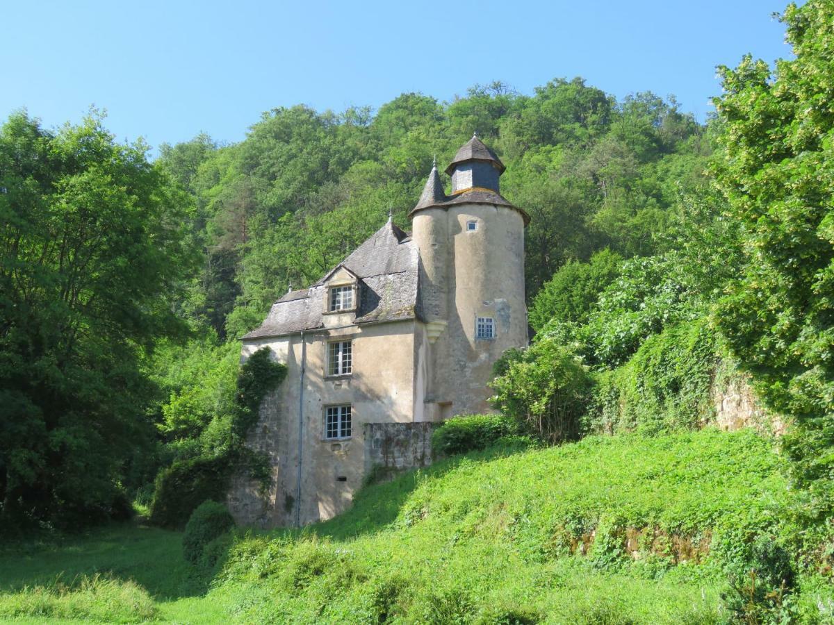 Chateau De Gaubert Bed and Breakfast Terrasson Esterno foto